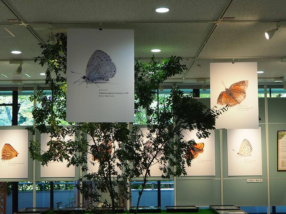 P7240564 - コピー.jpg