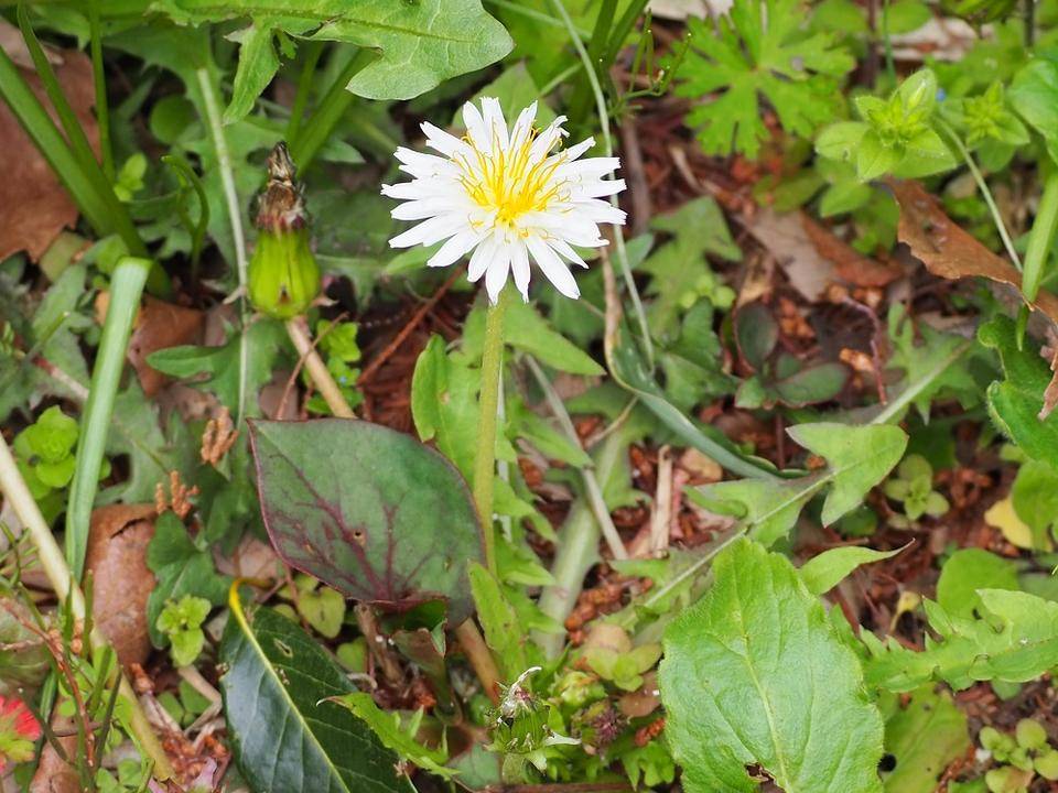 P3220381 - コピー.jpg
