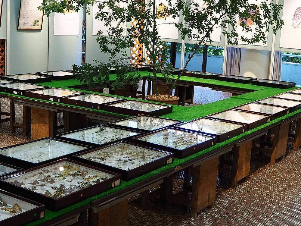 P7240565 - コピー.jpg