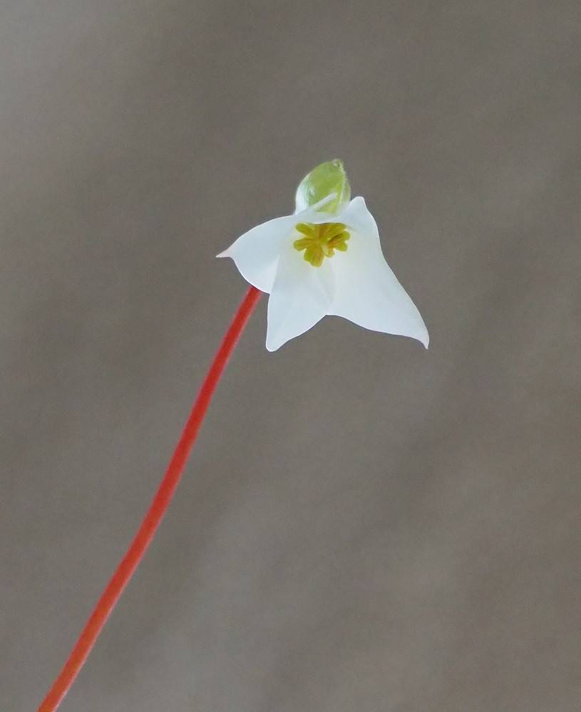 PA050506 - コピー.jpg