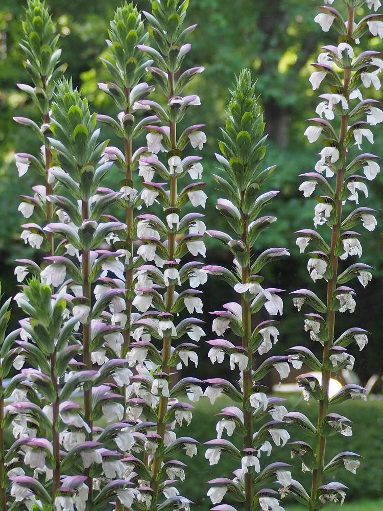 P6170499 - コピー.jpg