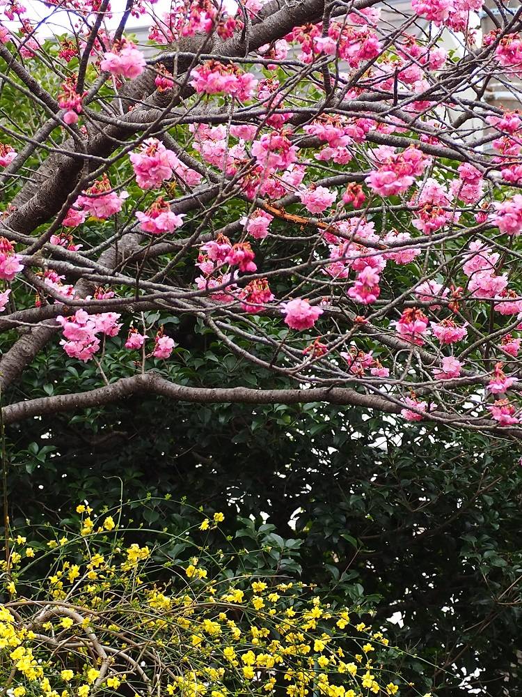 P3260521 - コピー.jpg