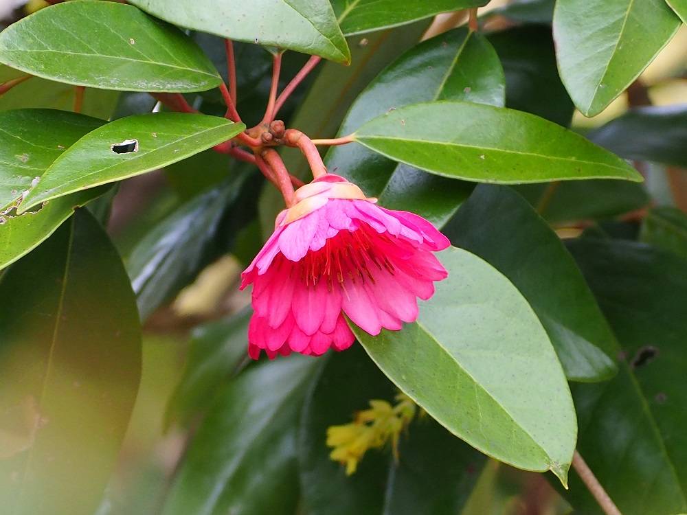 P3260530 - コピー.jpg