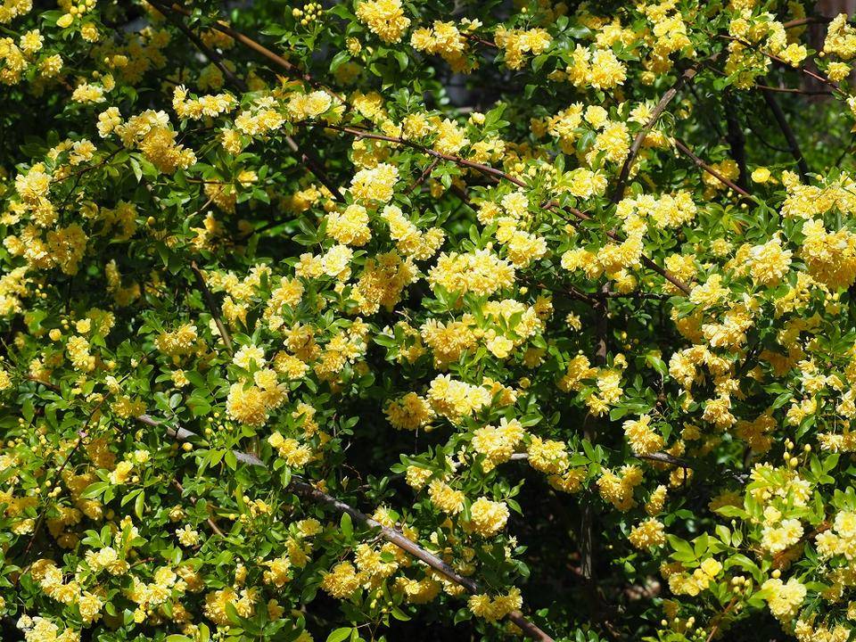 P4150491 - コピー.jpg