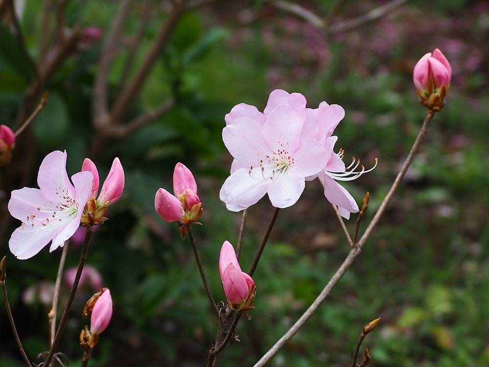 P3260535 - コピー.jpg