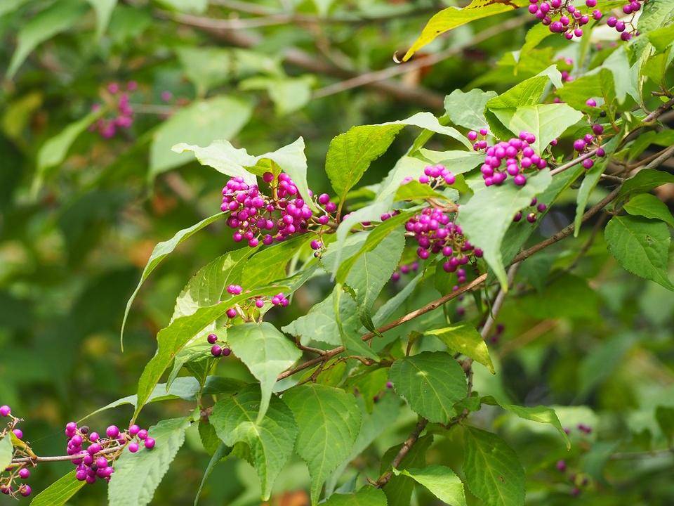 PA300171 - コピー.jpg