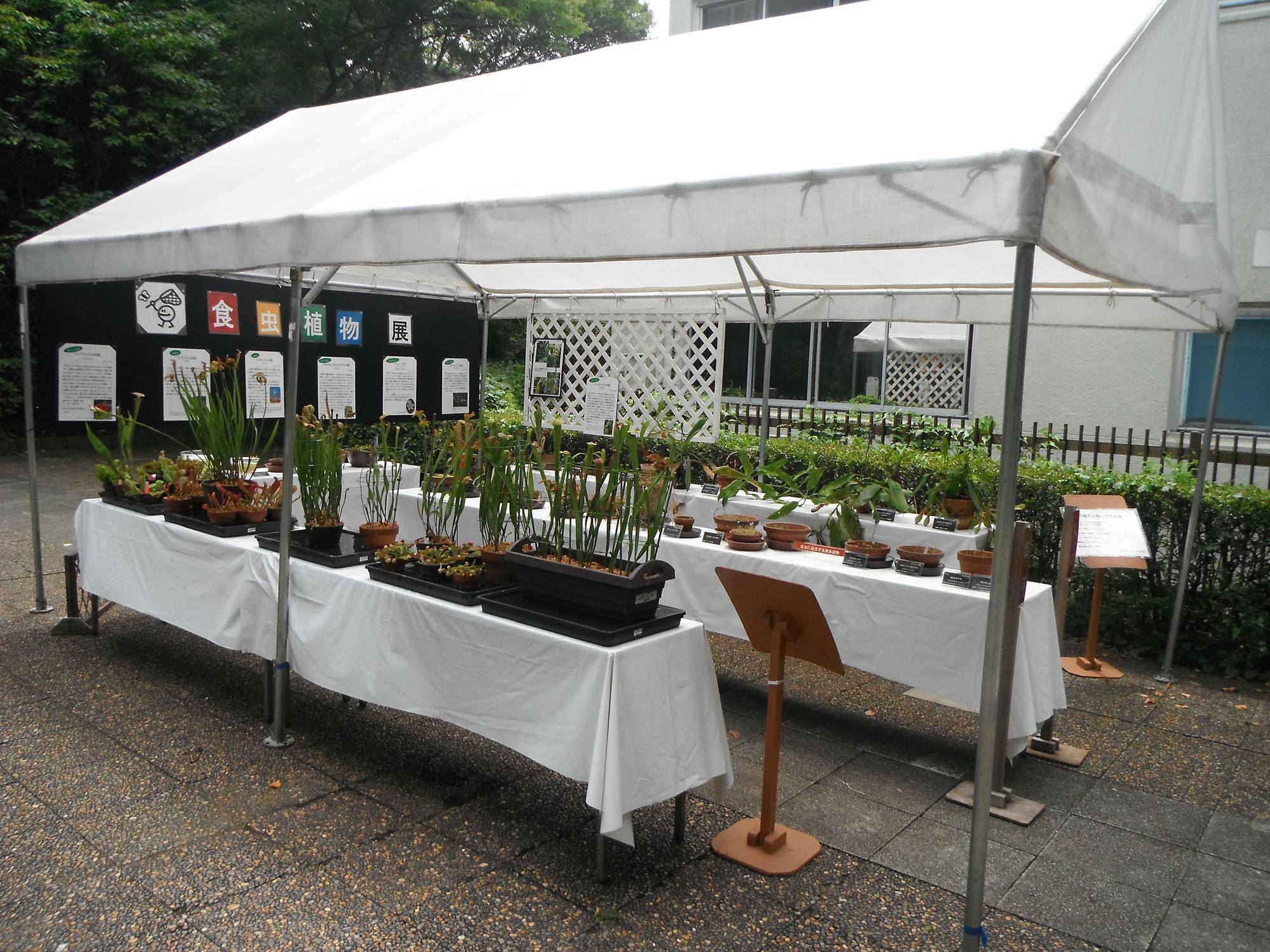DSCF1228 - コピー.jpg