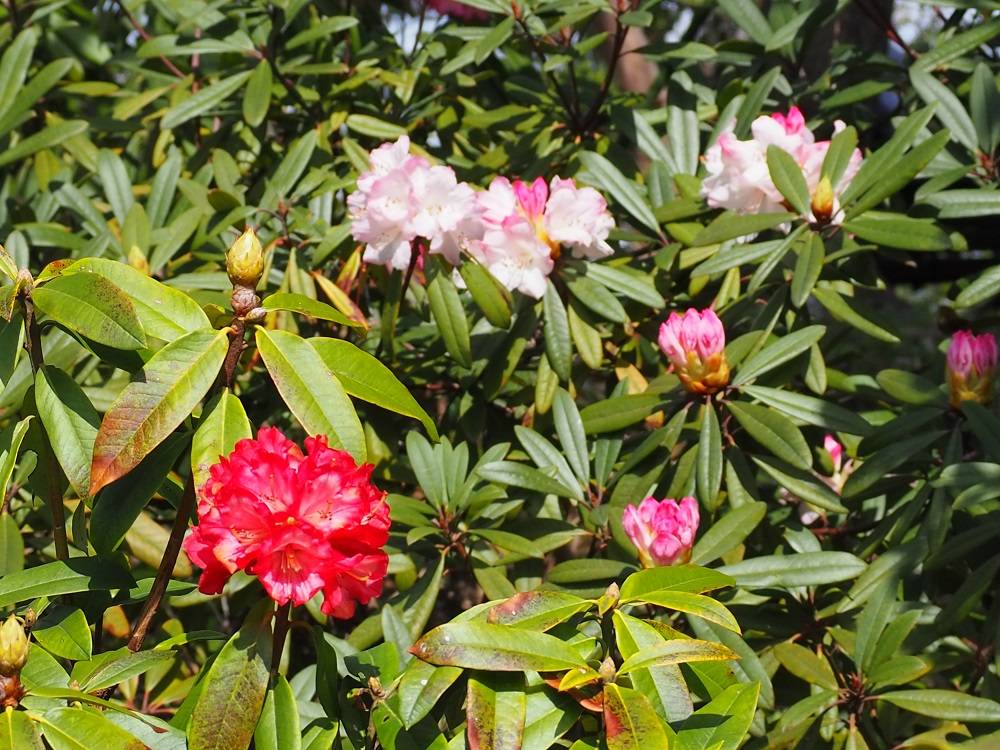 P3280527 - コピー.jpg