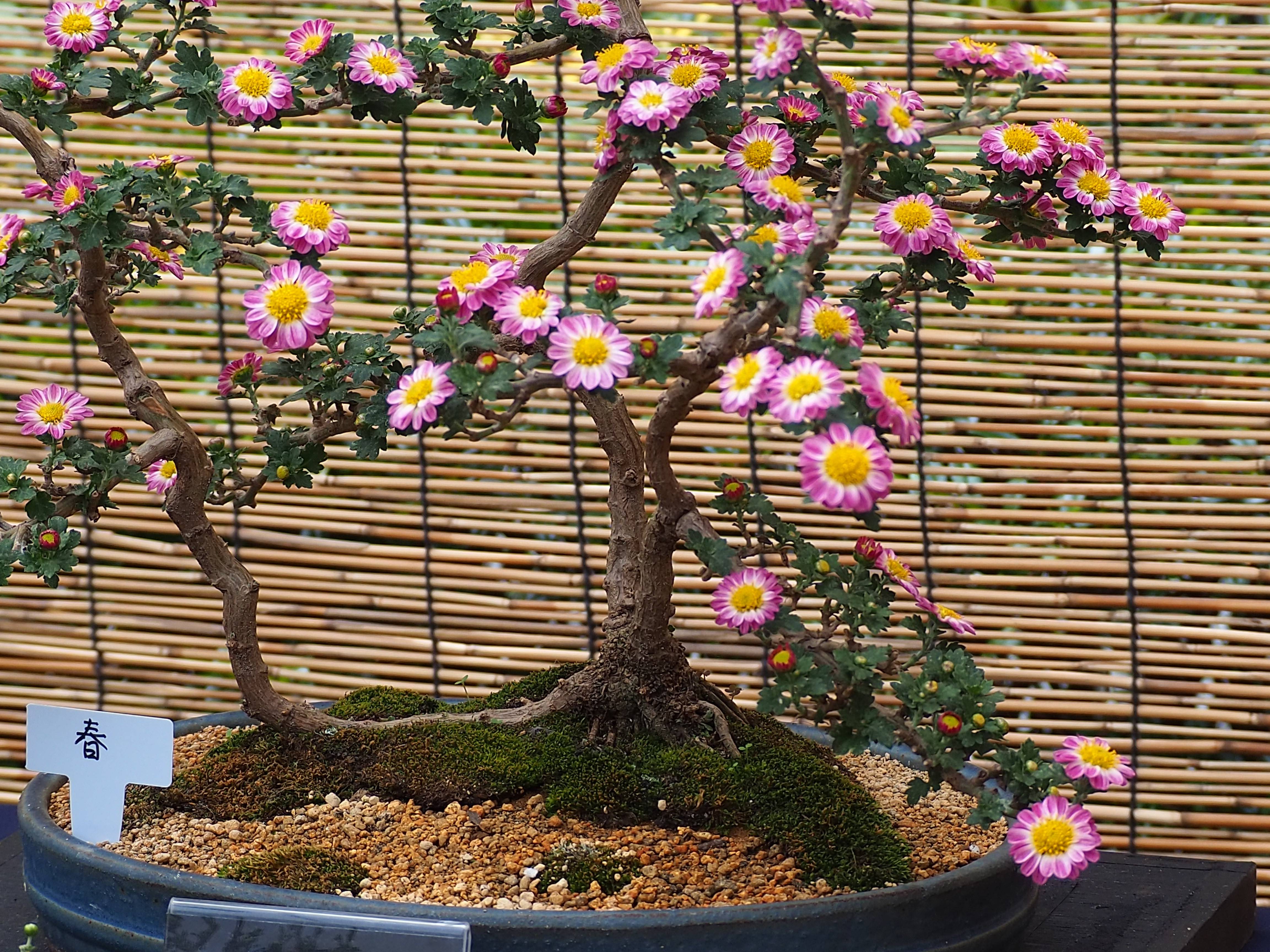 PB010529 - コピー.jpg