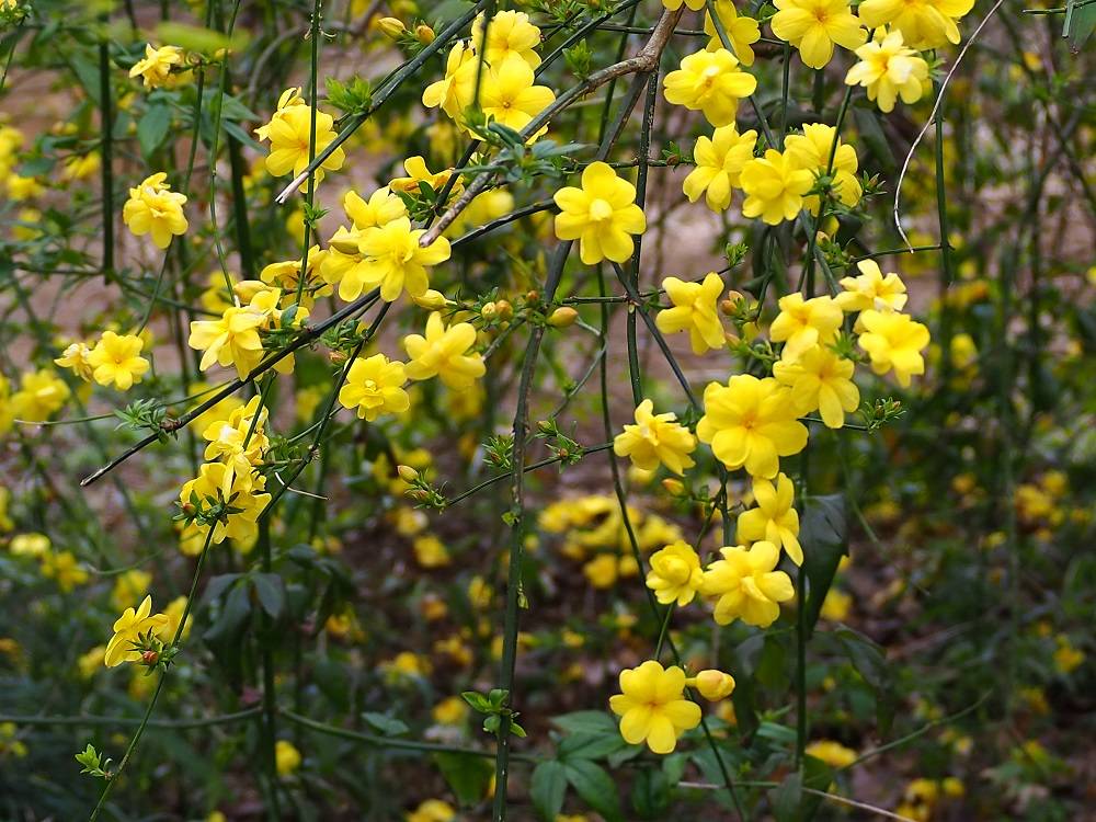 P3260536 - コピー.jpg