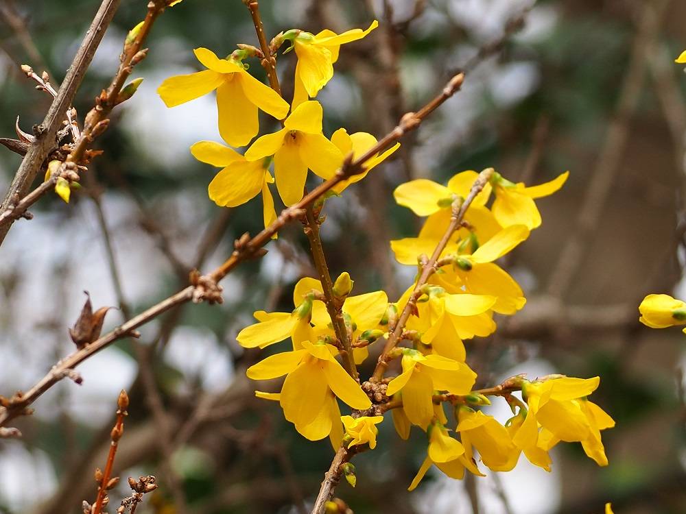 P3260526 - コピー.jpg