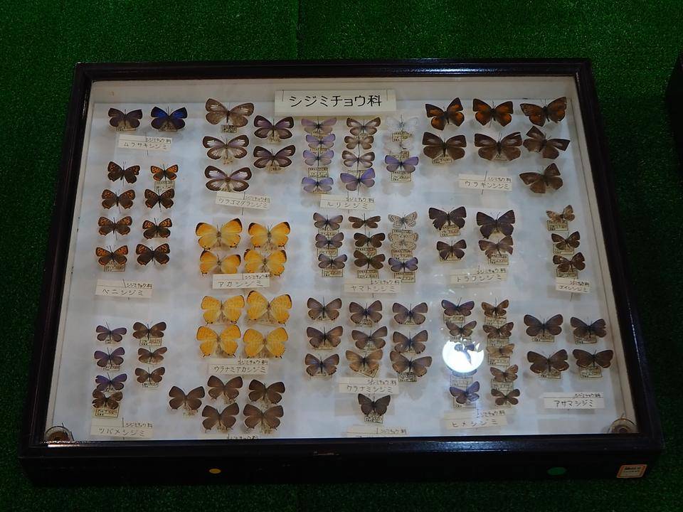 P7240575 - コピー.jpg