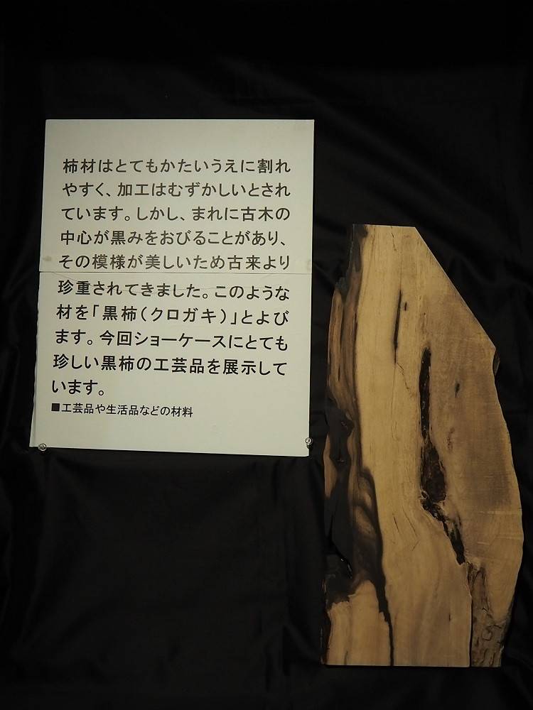 PA170503 - コピー.jpg