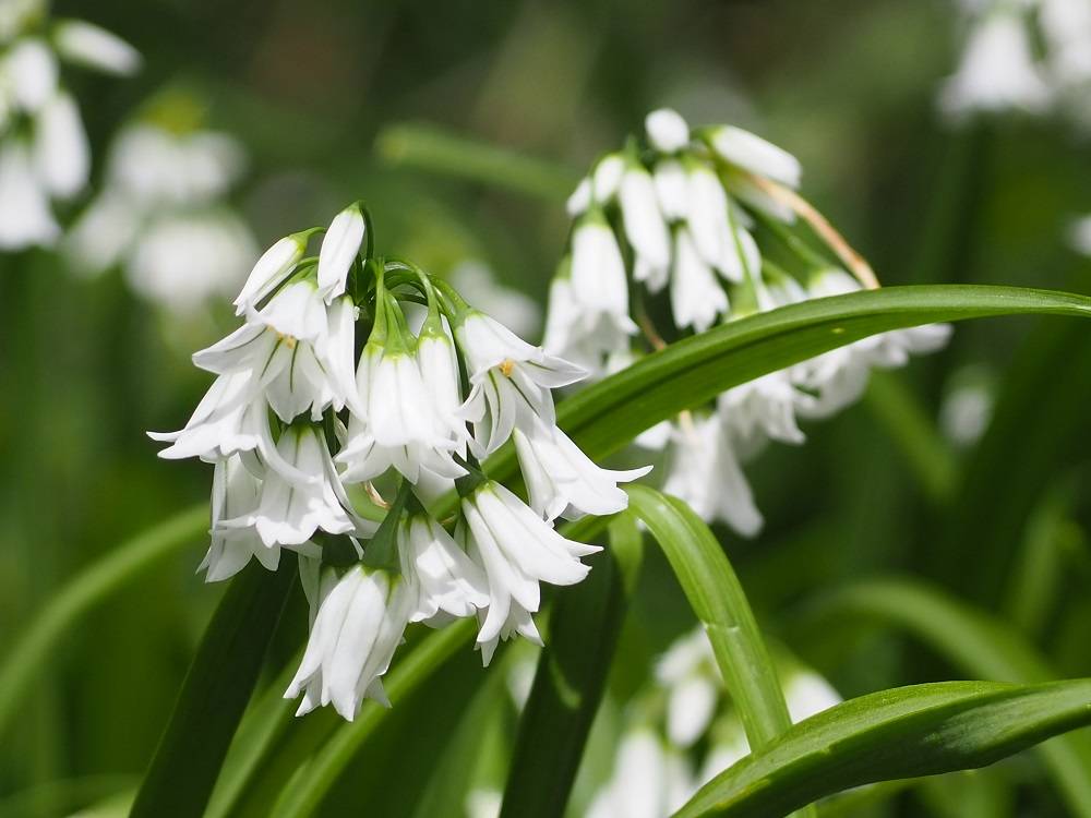 P4020553 - コピー.jpg