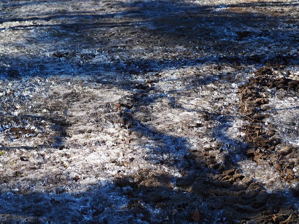 P1300328 - コピー.jpg