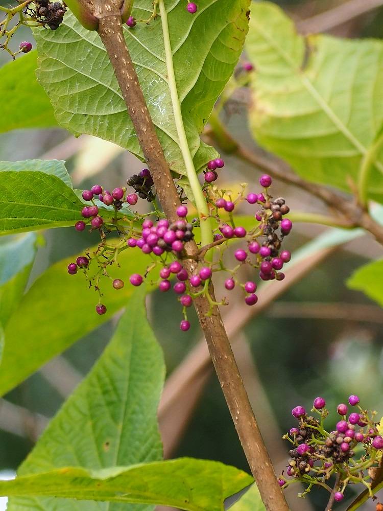 PB230503 - コピー.jpg