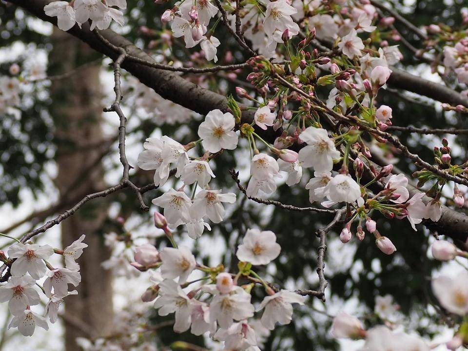 P3220358 - コピー.jpg