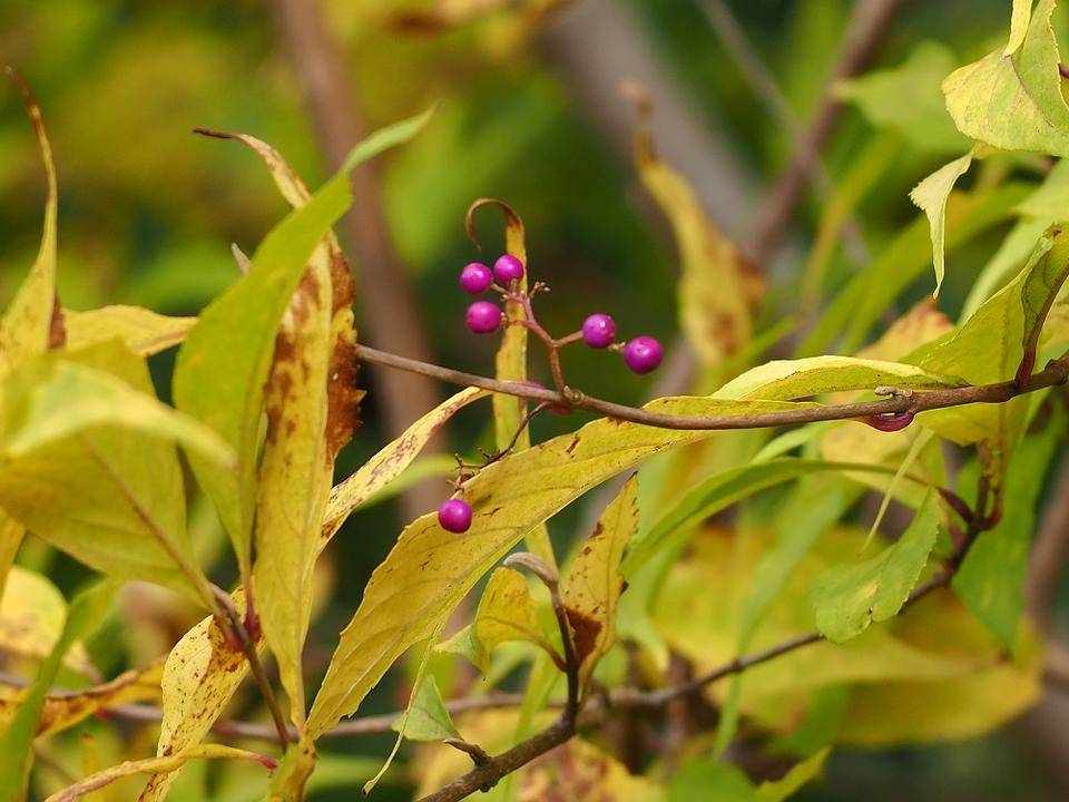 PB230511 - コピー.jpg