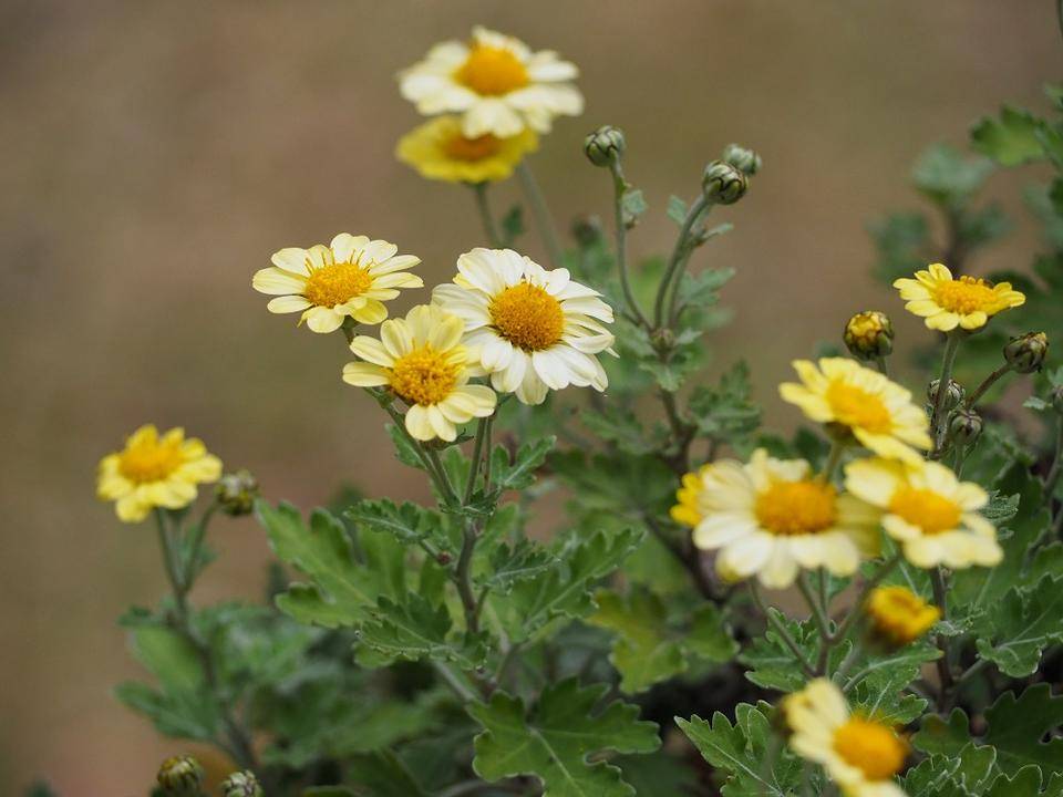 PB240172 - コピー.jpg