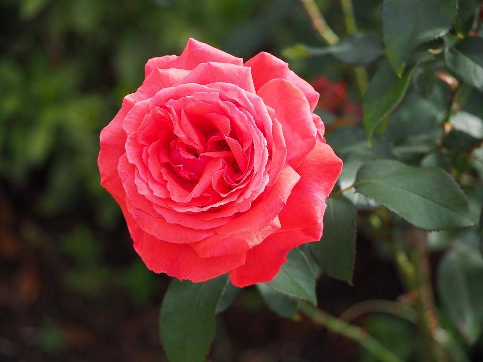 PB020177 - コピー.jpg