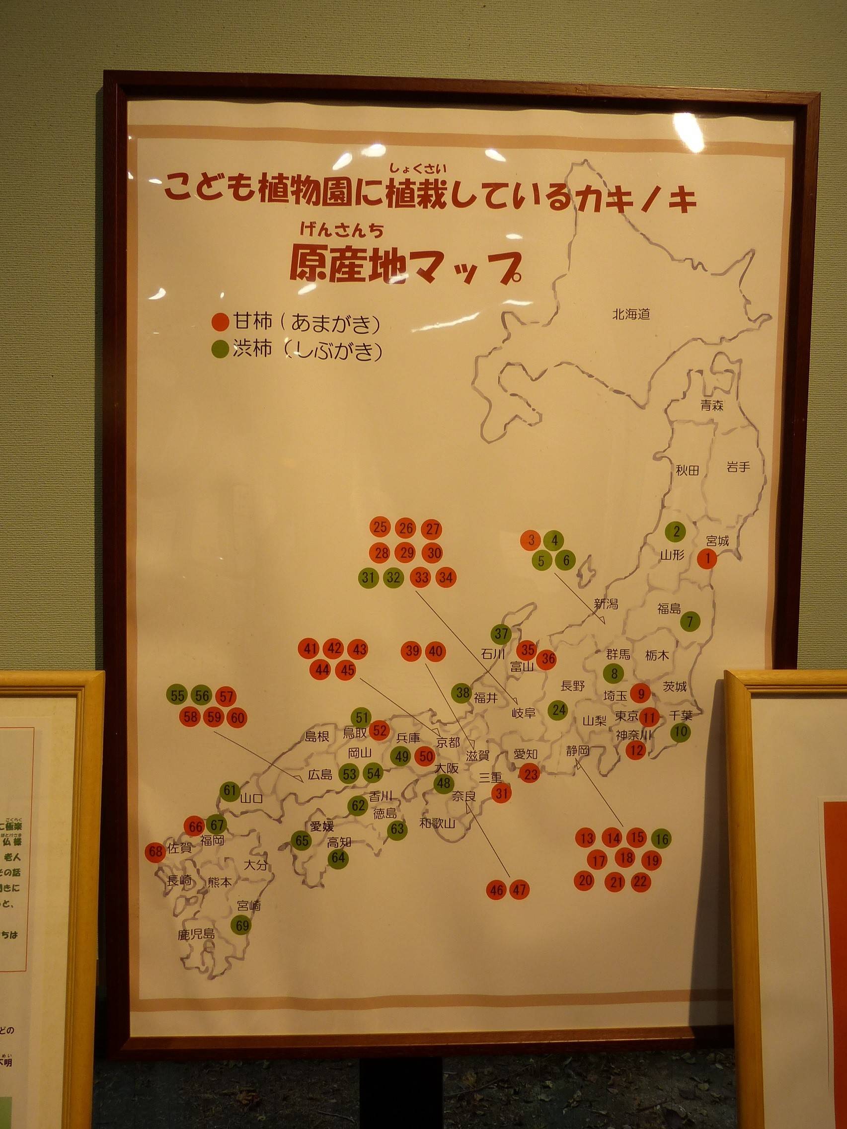 30柿展06.jpg