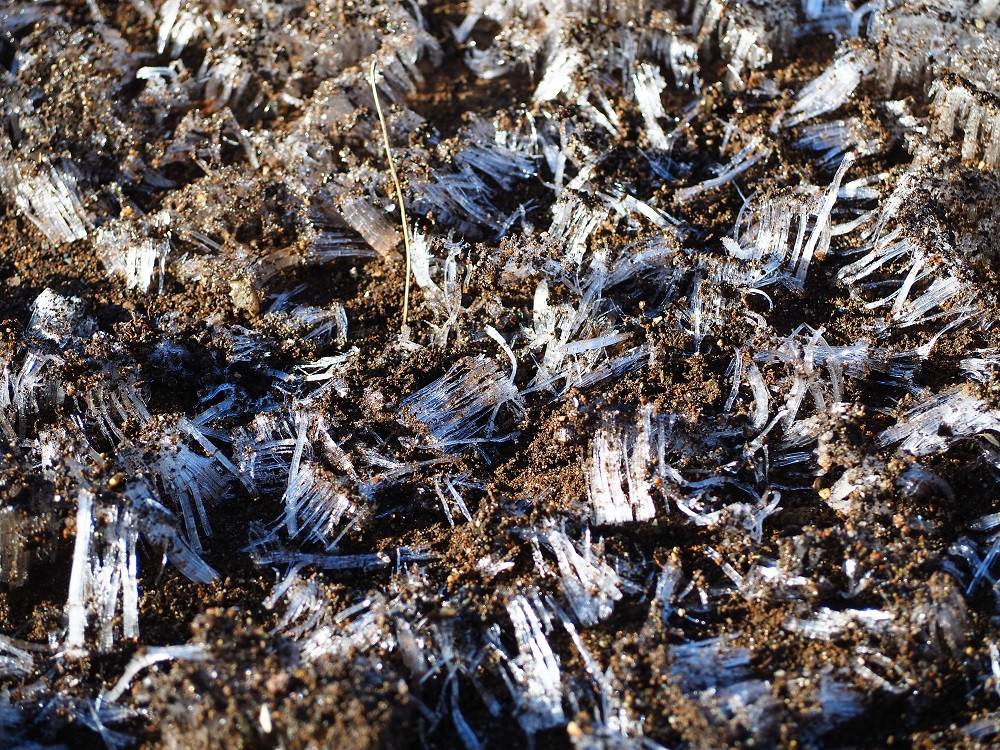 P1300327 - コピー.jpg