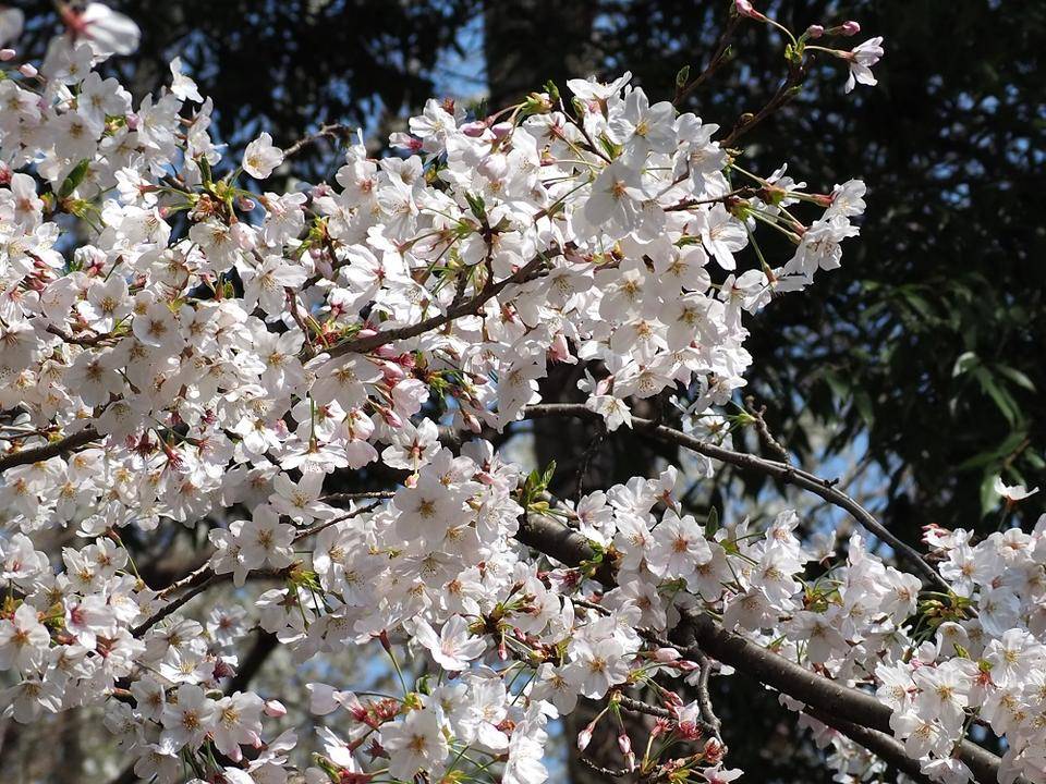 P3260410 - コピー.jpg