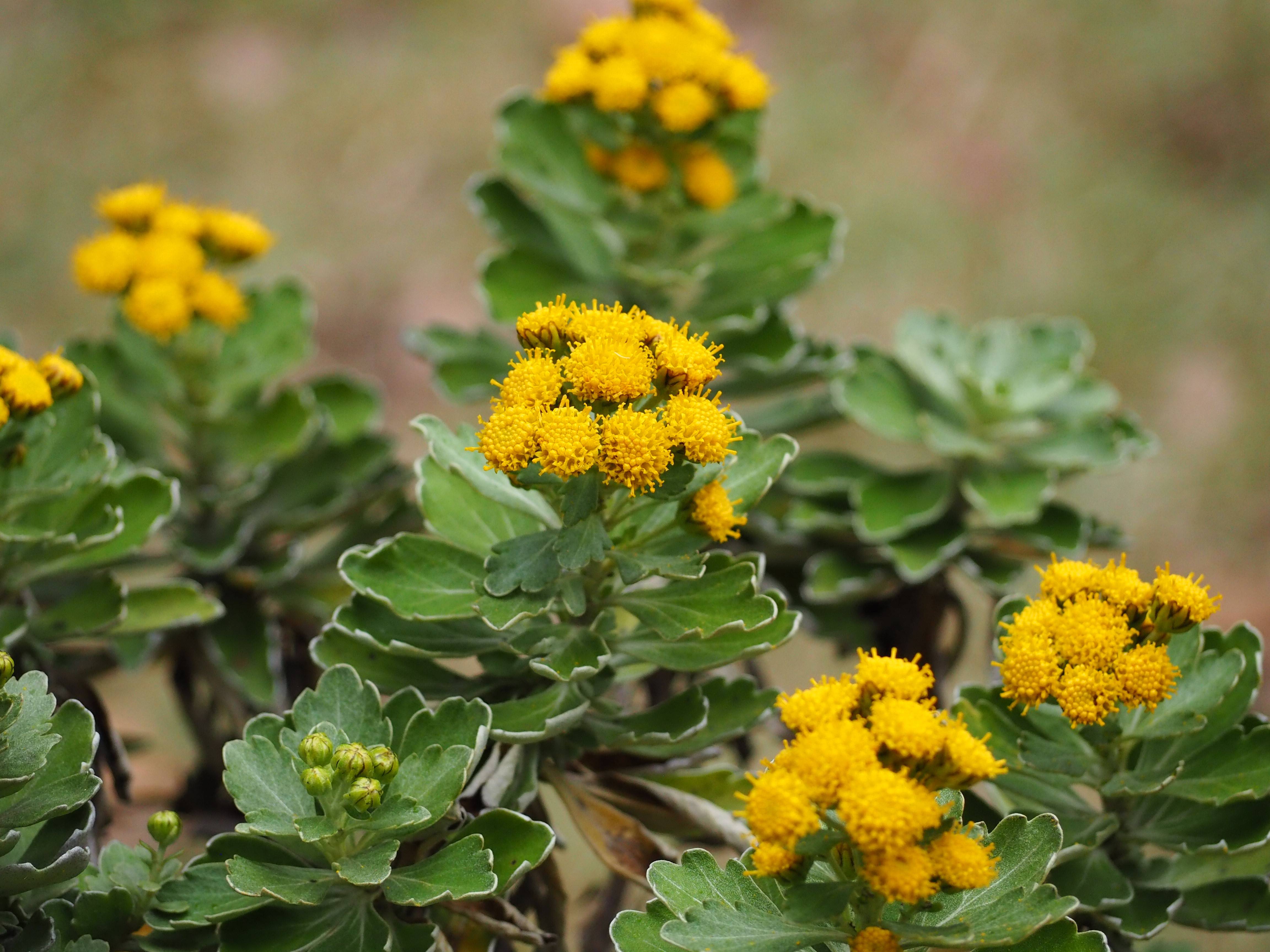 PB240171 - コピー.jpg