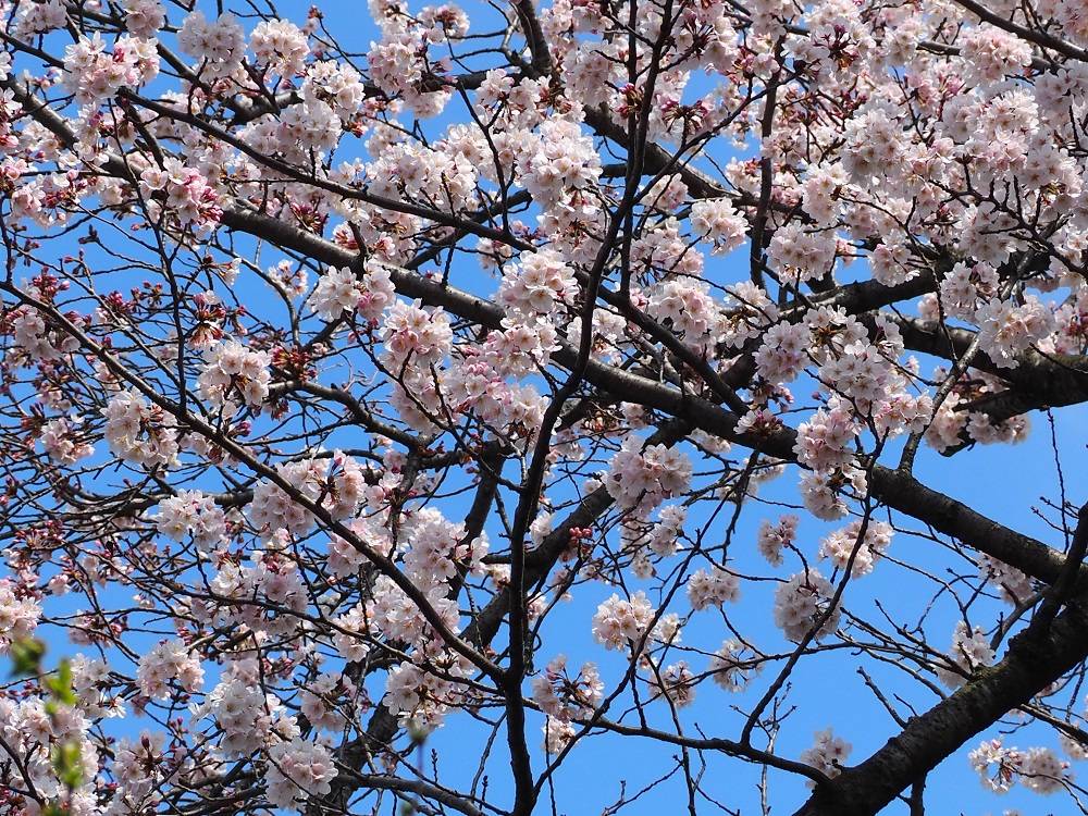 P3280515 - コピー.jpg