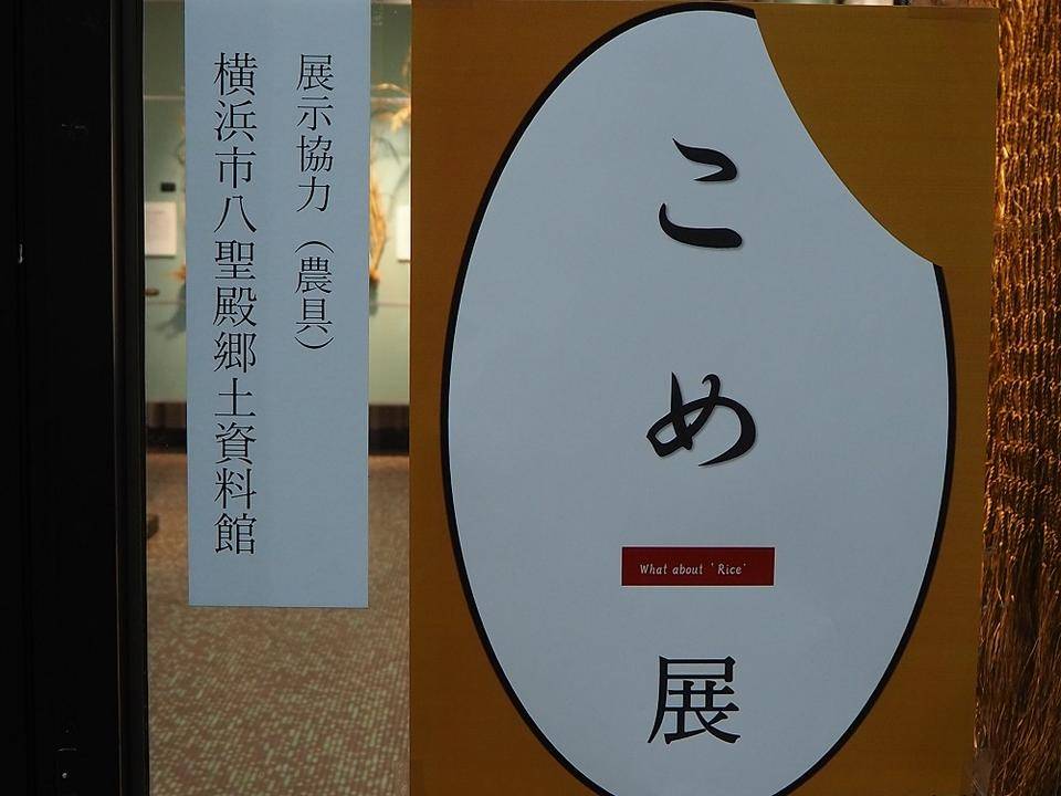 PC060546.jpg