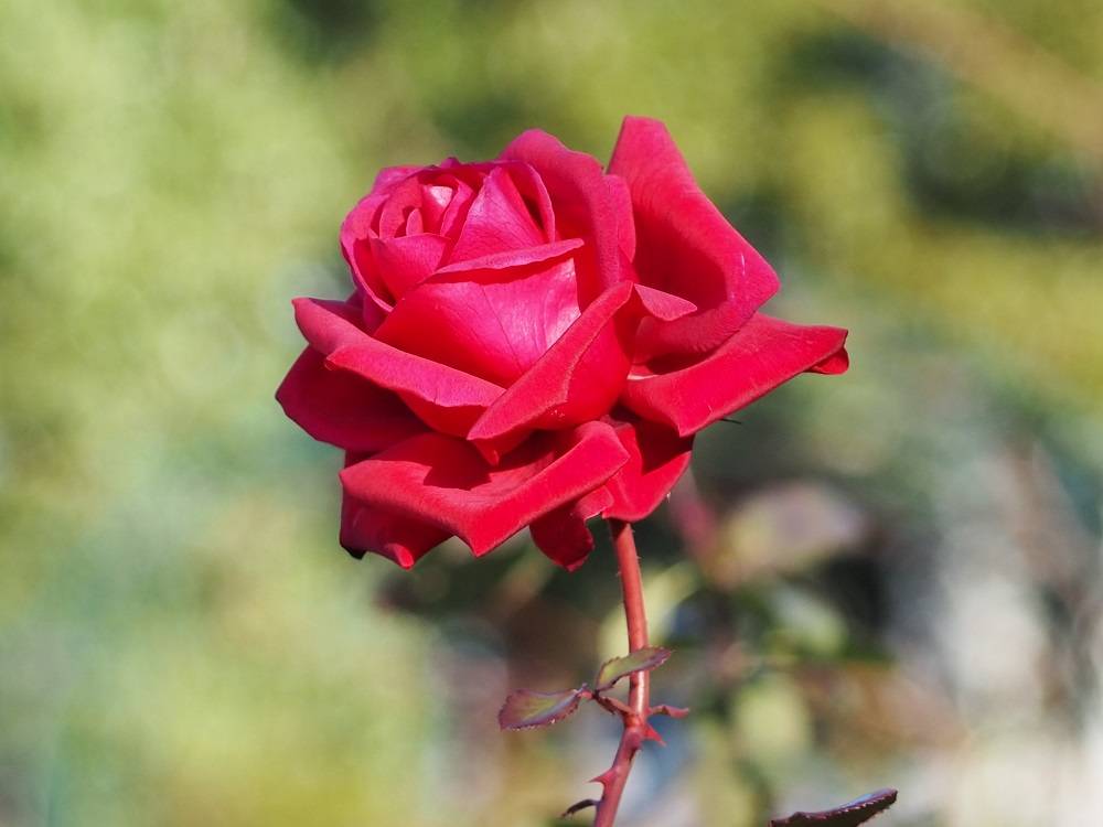 PC280531.jpg