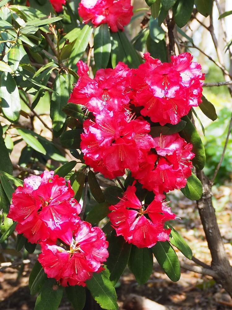 P3280529 - コピー.jpg