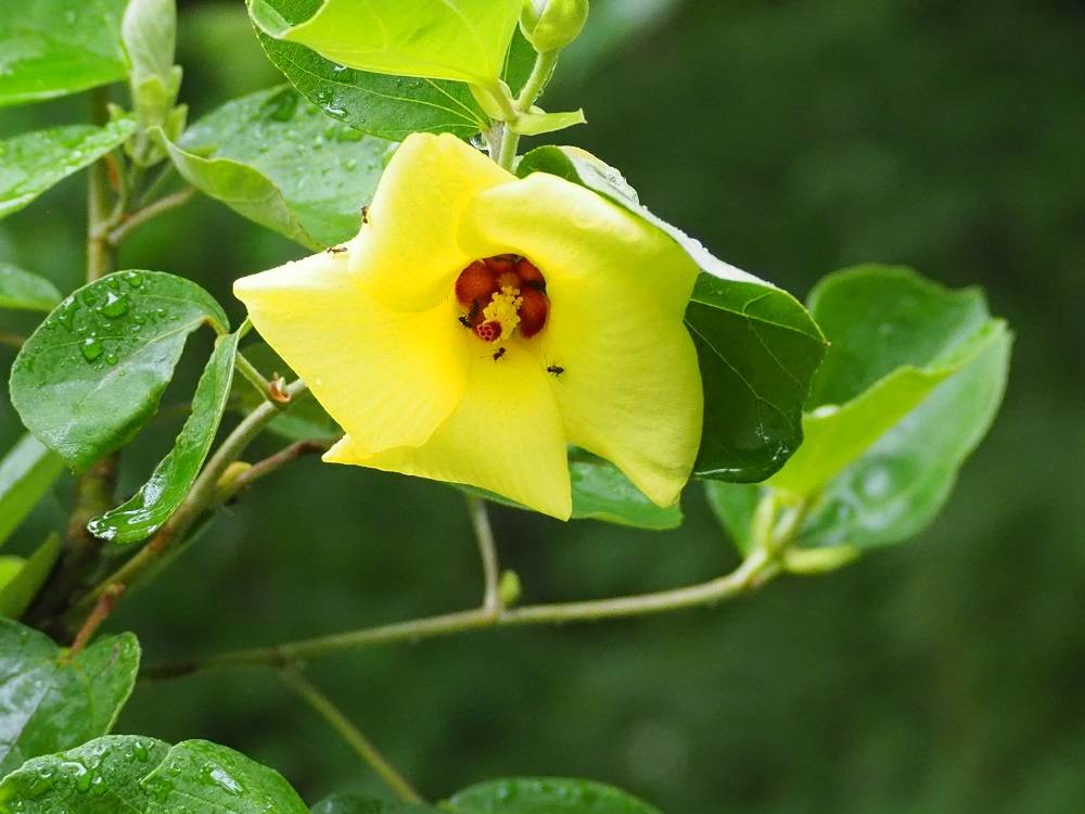 P7130594 - コピー.jpg