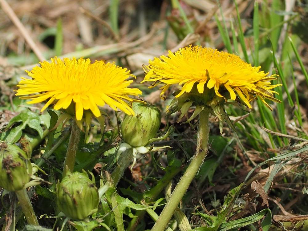 P3280570 - コピー.jpg