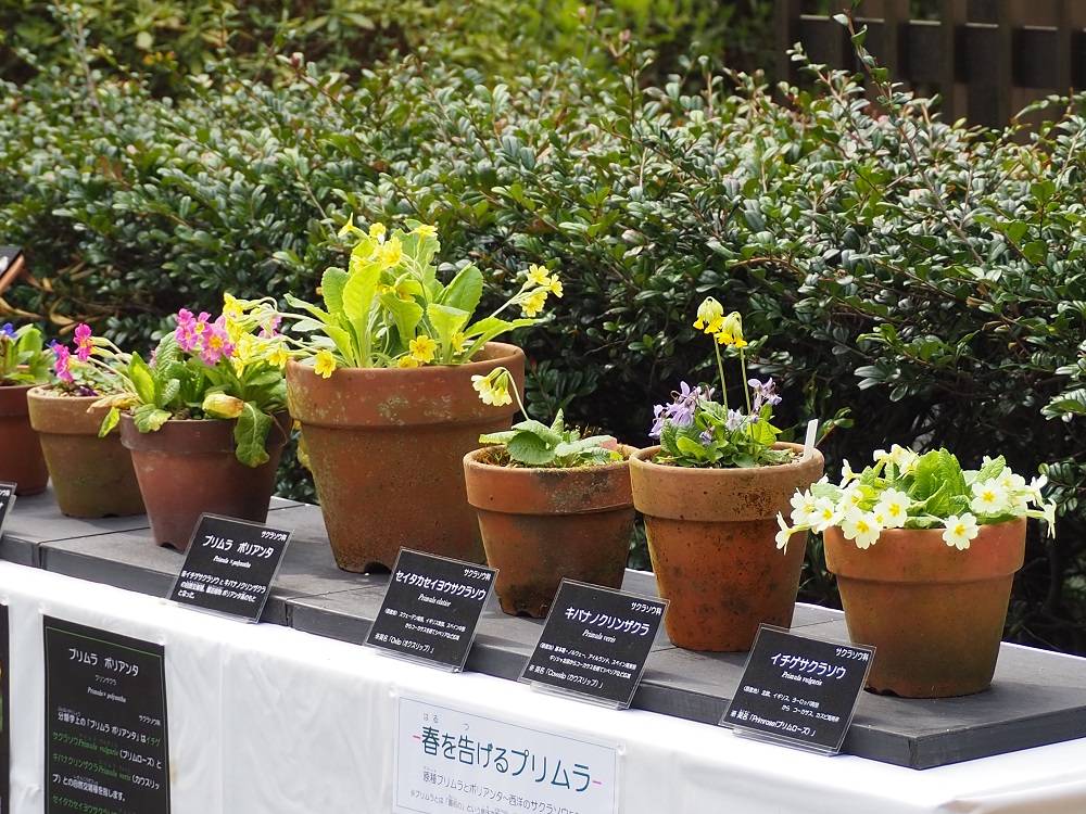 P4020508 - コピー.jpg