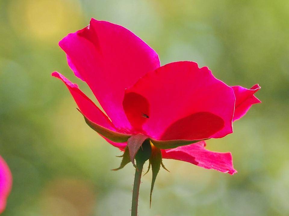 PA300529 - コピー.jpg