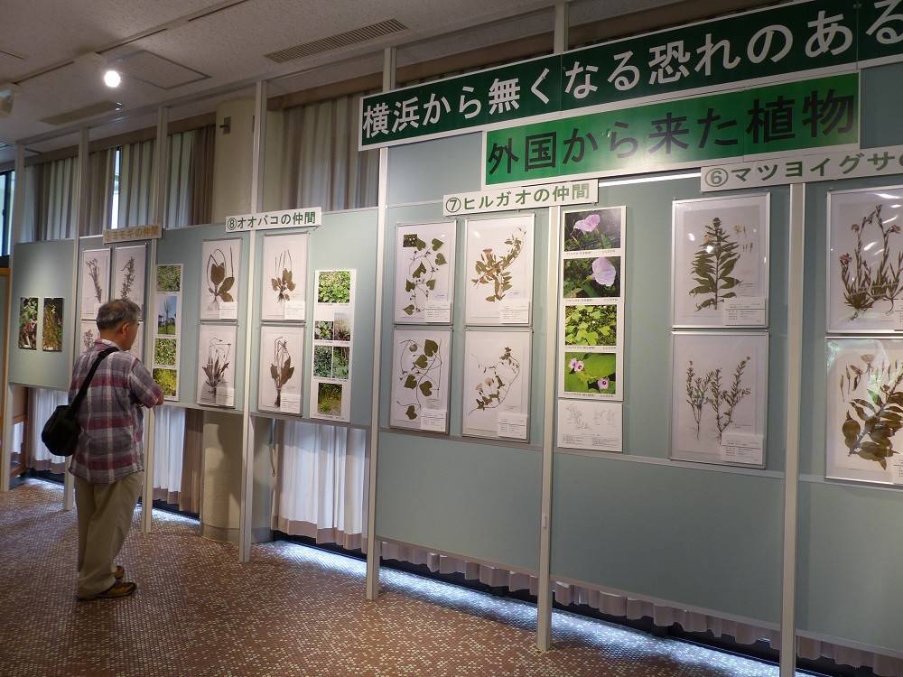 植物会展示04.jpg