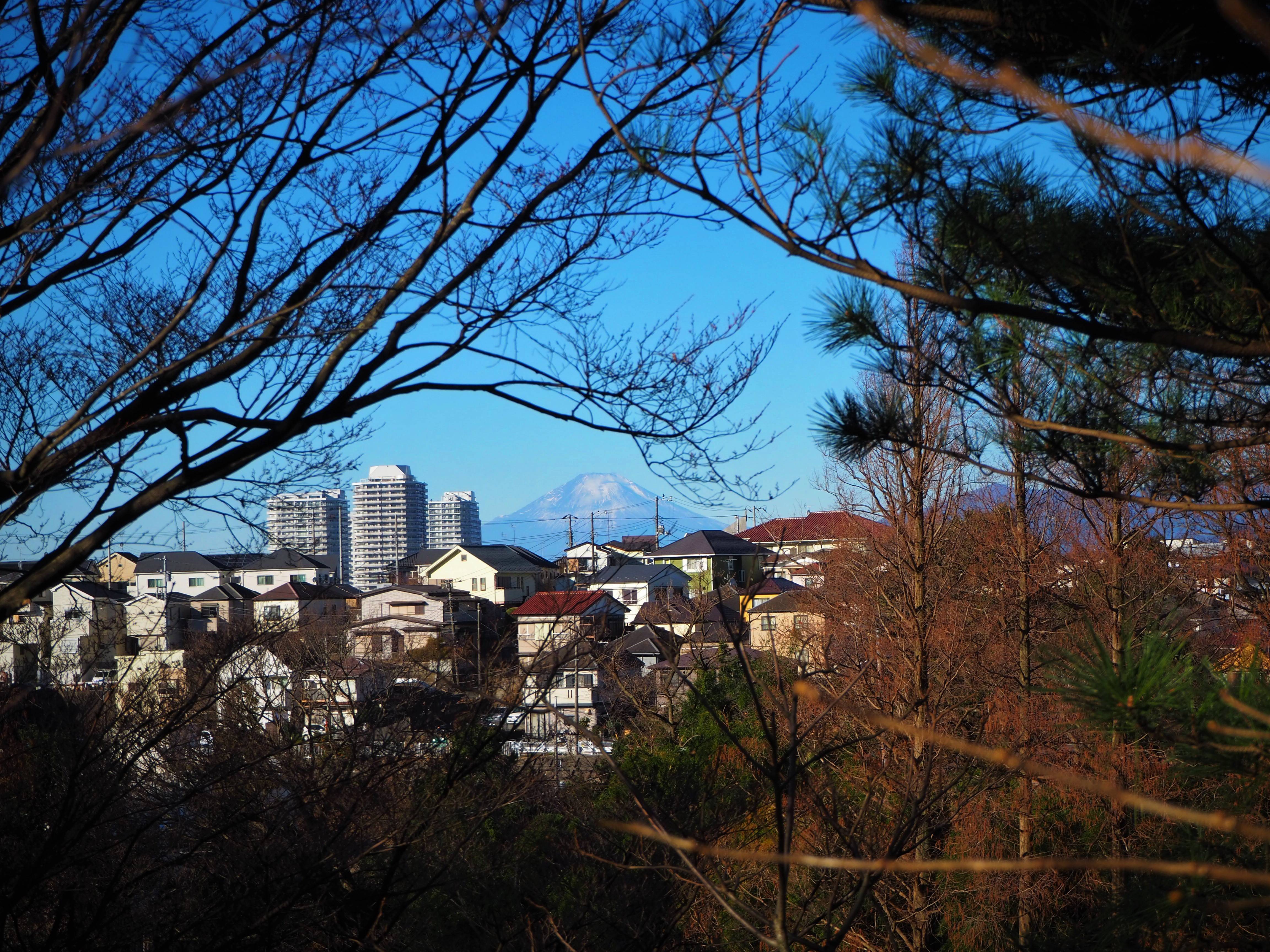 P1090240 - コピー.jpg