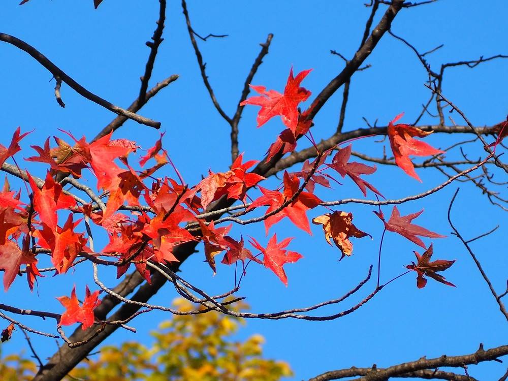 PA300519 - コピー.jpg