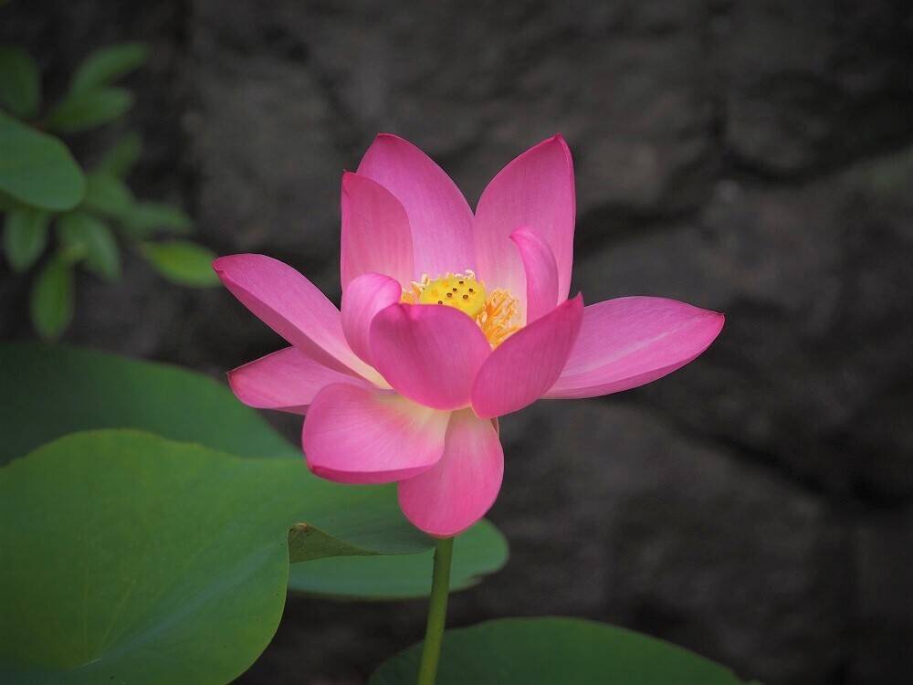 P6160030 - コピー.jpg