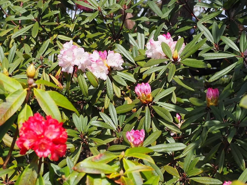 P3280526 - コピー.jpg