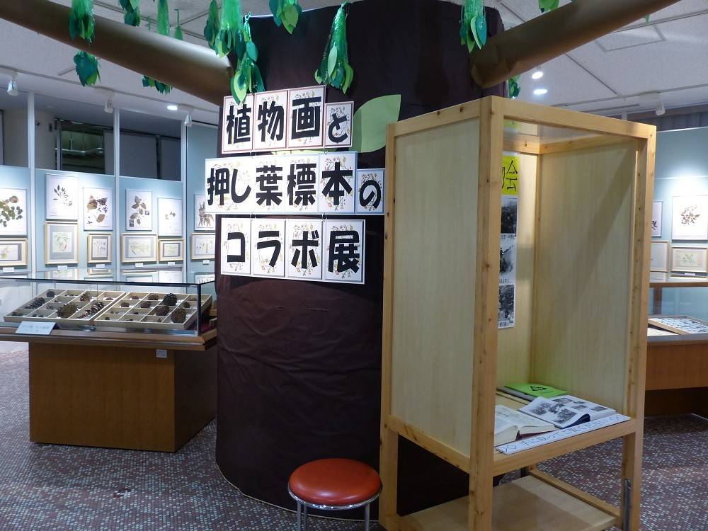 植物画と押し葉05.jpg