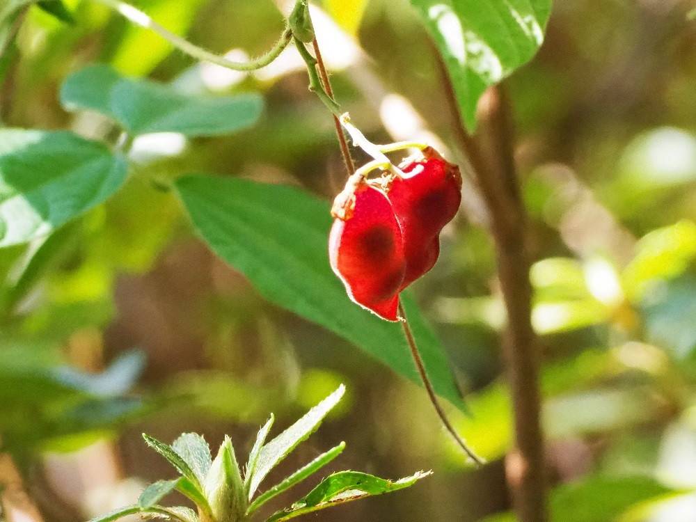 PA300521 - コピー.jpg