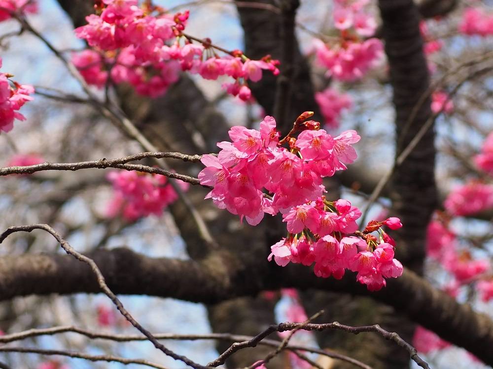 P3280521 - コピー.jpg