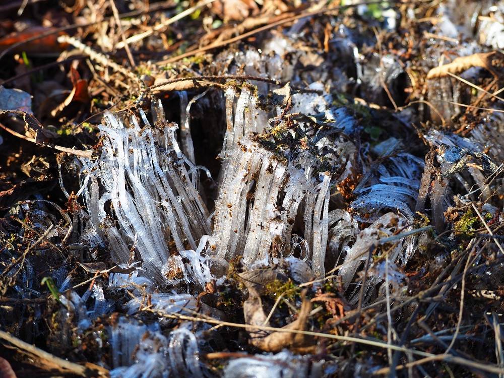 P1300347 - コピー.jpg