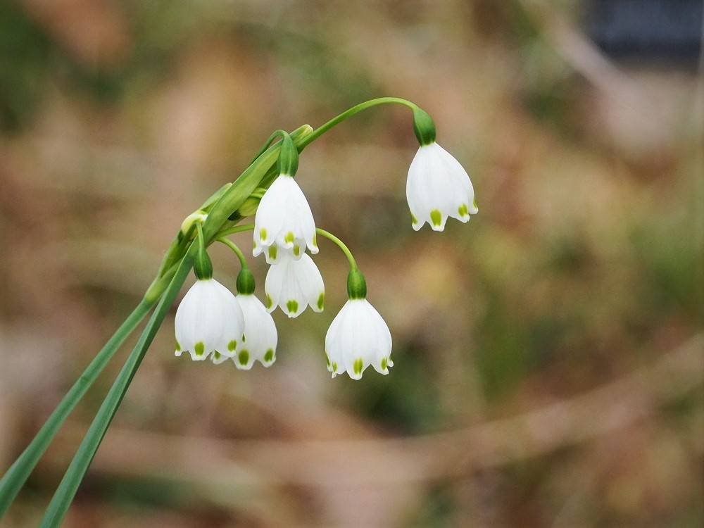 P3260572 - コピー.jpg