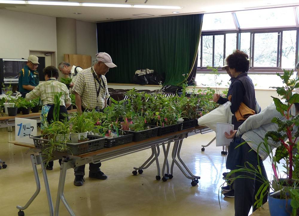 花苗交換会イメージ.jpg