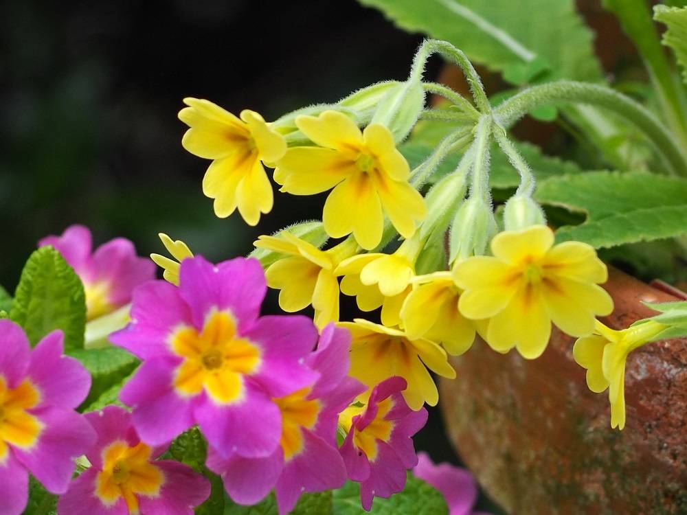 P4020534 - コピー.jpg