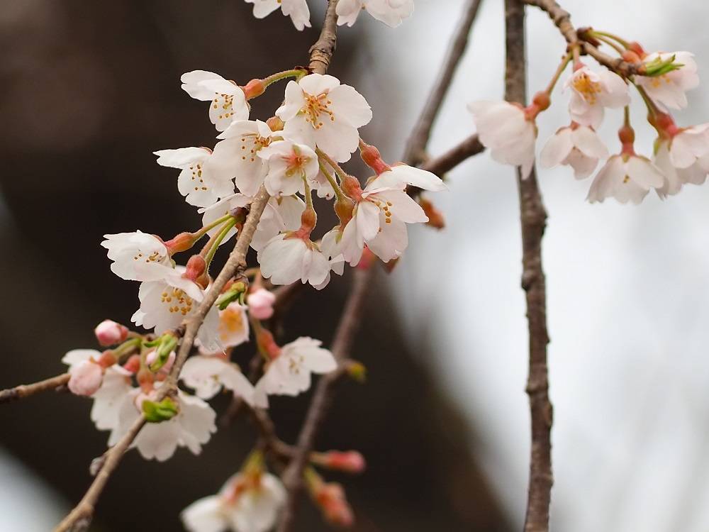 P3260543 - コピー.jpg