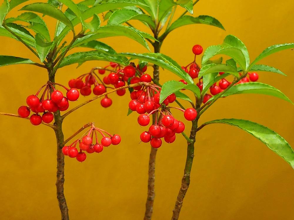 P1050588 - コピー.jpg